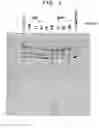 Fig. 04 - Method of screening for compounds that inhibit the enzymatic activity of GWT1 gene product