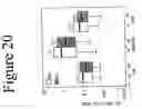 Fig. 22 - Standardized and optimized real-time quantitative reverse transcriptase polymerase chain reaction method for detection of mrd in leukemia
