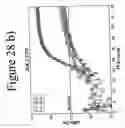 Fig. 33 - Standardized and optimized real-time quantitative reverse transcriptase polymerase chain reaction method for detection of mrd in leukemia
