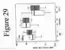 Fig. 34 - Standardized and optimized real-time quantitative reverse transcriptase polymerase chain reaction method for detection of mrd in leukemia