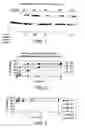 Fig. 02 - Modified polymerases for improved incorporation of nucleotide analogues