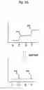 Fig. 05 - Multiplex SNP typing by bioluminometric assay coupled with terminator incorporation