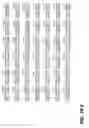 Fig. 05 - Human cytomegalovirus DNA sequences