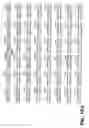 Fig. 09 - Human cytomegalovirus DNA sequences