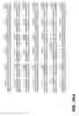 Fig. 29 - Human cytomegalovirus DNA sequences