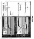 Fig. 09 - Methods for amplification and detection of nucleic acids