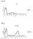 Fig. 04 - Pigment protein from 