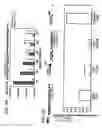 Fig. 04 - Diagnostic method for Celiac Sprue