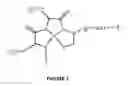 Fig. 05 - Melanocortin Metallopeptode Combinatorial Libraries and Applications