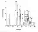 Fig. 07 - Melanocortin Metallopeptode Combinatorial Libraries and Applications