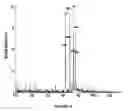 Fig. 08 - Melanocortin Metallopeptode Combinatorial Libraries and Applications