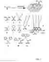 Fig. 02 - Carbodithioate ligands for nanotechnology and biosensing applications