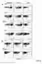 Fig. 05 - Methods and compositions for identifying target cell cytolytic lymphocytes in a sample