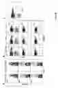 Fig. 08 - Methods and compositions for identifying target cell cytolytic lymphocytes in a sample