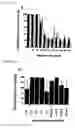 Fig. 04 - Proteins involved in cytoadhesion of plasmodium falciparum ring-stage-infected erythrocytes, antibodies which bind to the proteins, and methods for detecting infection, stage of infection and vaccines for protecting against infection