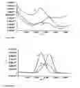 Fig. 30 - Protease detection assay