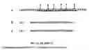 Fig. 02 - Cationic anti-microbial peptides and methods of use thereof