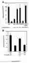 Fig. 10 - Method for designing peptides