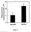 Fig. 12 - Method for designing peptides