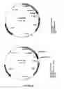 Fig. 04 - Interacting polypeptide comprising a heptapeptide pattern and a cellular penetration domain