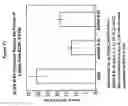 Fig. 25 - NOVEL RECEPTOR NUCLEIC ACIDS AND POLYPEPTIDES