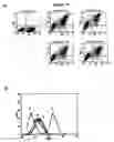 Fig. 27 - NOVEL RECEPTOR NUCLEIC ACIDS AND POLYPEPTIDES