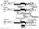 Fig. 01 - Compositions of coronaviruses with a recombination-resistant genome