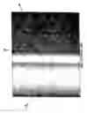 Fig. 04 - Materials for constructing cell-chips, cell-chip covers, cell-chips coats, processed cell-chips and uses thereof