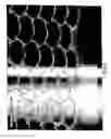 Fig. 06 - Materials for constructing cell-chips, cell-chip covers, cell-chips coats, processed cell-chips and uses thereof