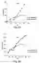 Fig. 03 - Cultures of human CNS neural stem cells