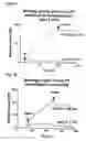 Fig. 02 - Cobalamin assay