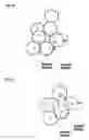 Fig. 04 - Cobalamin assay