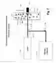 Fig. 08 - System and method for Raman spectroscopy assay using paramagnetic particles