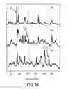 Fig. 24 - System and method for Raman spectroscopy assay using paramagnetic particles