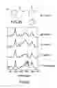 Fig. 25 - System and method for Raman spectroscopy assay using paramagnetic particles