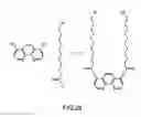Fig. 27 - System and method for Raman spectroscopy assay using paramagnetic particles