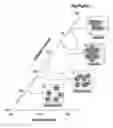 Fig. 01 - Controlled synthesis of nanowires, nanodiscs, and nanostructured materials using liquid crystalline templates