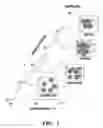Fig. 02 - Controlled synthesis of nanowires, nanodiscs, and nanostructured materials using liquid crystalline templates