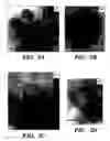 Fig. 04 - Controlled synthesis of nanowires, nanodiscs, and nanostructured materials using liquid crystalline templates