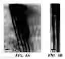 Fig. 06 - Controlled synthesis of nanowires, nanodiscs, and nanostructured materials using liquid crystalline templates