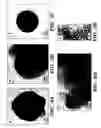 Fig. 09 - Controlled synthesis of nanowires, nanodiscs, and nanostructured materials using liquid crystalline templates