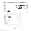 Fig. 03 - Methods and systems for on-column protein delipidation