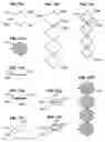 Fig. 08 - Continuous balloon structures—2