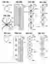 Fig. 10 - Continuous balloon structures—2