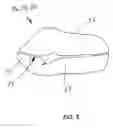 Fig. 03 - Butchering processes for meat products