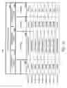 Fig. 13 - Methods and systems for determining and selling wagering game outcomes for a plurality of players