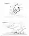 Fig. 06 - Human lower limb performance enhancement outfit