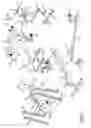 Fig. 06 - Leg press and abdominal crunch exercise machine