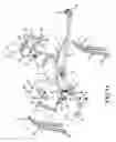 Fig. 11 - Leg press and abdominal crunch exercise machine