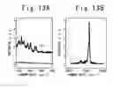 Fig. 14 - Catalyst support substrate, method for growing carbon nanotubes using the same, and the transistor using carbon nanotubes